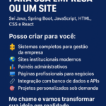 Eu vou fazer um sistema para sua empresa ou um site