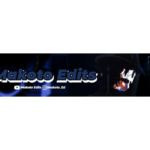 Eu vou criar um banner profissional