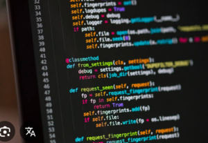 Eu vou Fazer seu site e sua landing page.