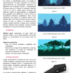 Eu vou fazer oque você quiser relacionado a meca e info