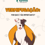 Eu vou te ajudar na sua criação personalizada