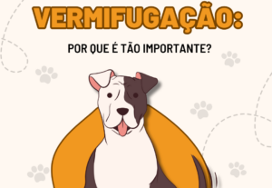Eu vou te ajudar na sua criação personalizada
