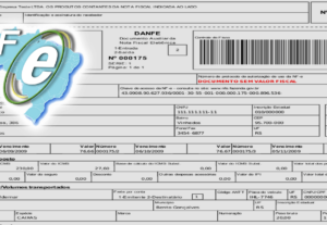 Eu vou emitir as notas fiscais da sua empresa.