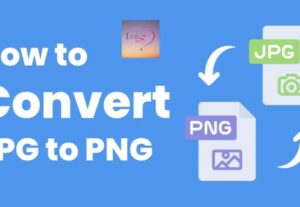 Eu vou converter e organizar arquivos
