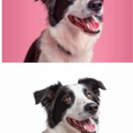 Eu vou remover o fundo de 20 fotos profissionalmente