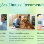 Eu vou criar/diagramar seu e-book com qualidade e estilo.