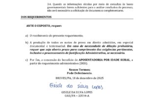 Eu vou criar petições para os seus processos jurídicos de pr...
