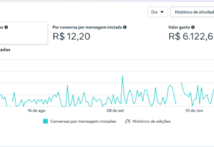 Eu vou fazer a gestão de tráfego pago do seu negócio