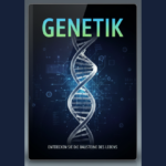 Eu vou traduzir seu conteúdo do Português para o Alemão