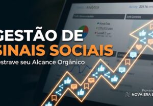 Eu vou usar o Nova Era Smm para gerir seu perfil nas redes