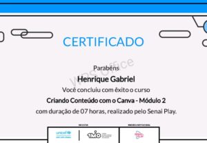 Eu vou Criar uma automação coringa com a api