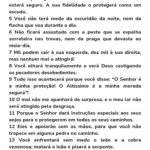 Eu vou fazer design, edição de vídeo e tradução.