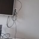 Foto do perfil do trabalhador freelancer