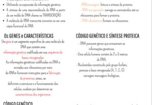 Eu vou fazer Currículo simples e profissional