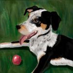 Eu vou fazer o retrato de seu pet