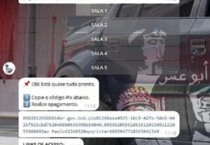 Eu vou fazer um sistema para seu produto no telegram