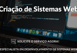 Eu vou desenvolver o seu sistema web sob medida