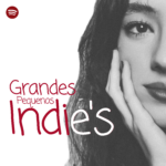 Eu vou criar capas para sua música ou playlist no spotify.