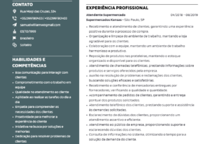 Eu vou fazer um currículo profissional para você