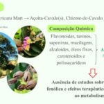 Eu vou fazer sua apresentação de slide