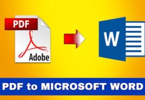 Eu vou digitar e formatar documentos em Word.