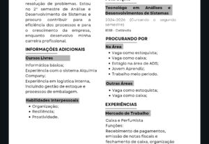 Eu vou fazer seu currículo em até 24h