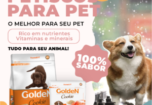 Eu vou fazer seu panfleto, Flyer ou folder que Vende
