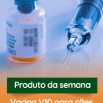 Eu vou fazer Gestão de Conteúdo para Instagram Comercial