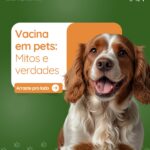 Eu vou fazer Gestão de Conteúdo para Instagram Comercial