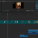 Eu vou editar seus vídeos profissionalmente