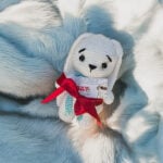 Eu vou fazer Alteração de fundo de fotos