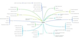 Eu vou fazer Mapa mental de biologia - Botânica
