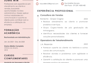 Eu vou fazer o seu currículo Profissional.