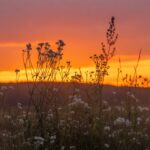 Eu vou fazer produção de músicas instrumentais longas e cont...