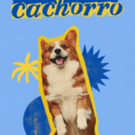 Eu vou criar anúncios personalizados para o seu negocio