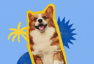 Eu vou criar anúncios personalizados para o seu negocio