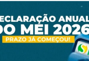 Eu vou Fazer sua declaração Mei