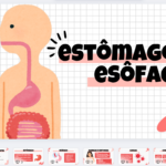 Eu vou fazer a apresentação do seu trabalho