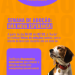 Eu vou ajudar sua marca a crescer