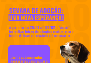 Eu vou ajudar sua marca a crescer