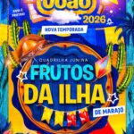 Eu vou fazer o flyer da sua quadrilha junina