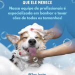 Eu vou criar artes profissionais para seu Instagram