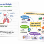Eu vou fazer resumo claro e organizado para provas e concurs...