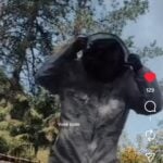 Eu vou fazer você ganhar muitas curtidas e novos seguidores