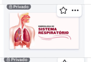 Eu vou Criar e-books completos prontos para venda ou estudo