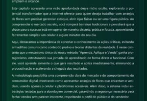 Eu vou Trabalhar com uma estrutura profissional de e-book