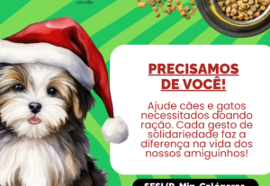 Eu vou Criar posts no canva para instagram