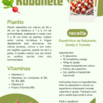 Eu vou Criar posts no canva para instagram