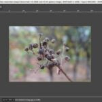 Eu vou fazer uma edição profissional da sua imagem