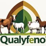 Eu vou Criar uma logo para empresa